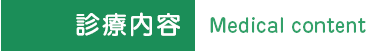 診療内容:Medical content